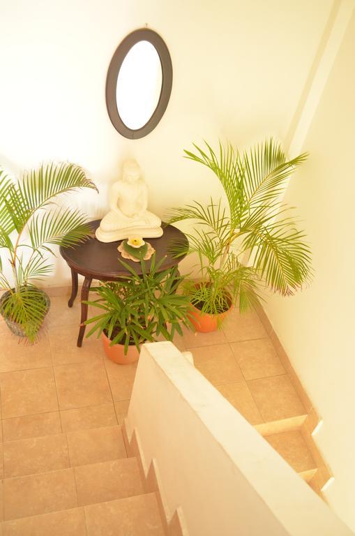 Frangipani Appartement Dehiwala-Mount Lavinia Buitenkant foto